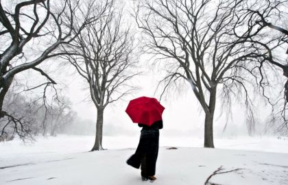 冬季大雪后的森林中几棵大树的中间站着一个打着红色雨伞黑衣服的人物背影