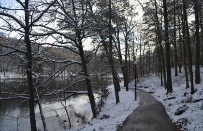 农村的冬季雪景村外的河边的小路上山坡上一层白雪树枝上也是白雪