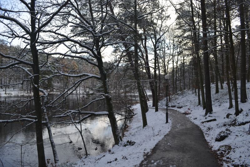 农村的冬季雪景村外的河边的小路上山坡上一层白雪树枝上也是白雪