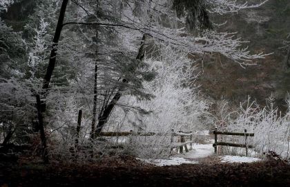 冰雪,栅栏,钢笔画,建筑,雪树银花