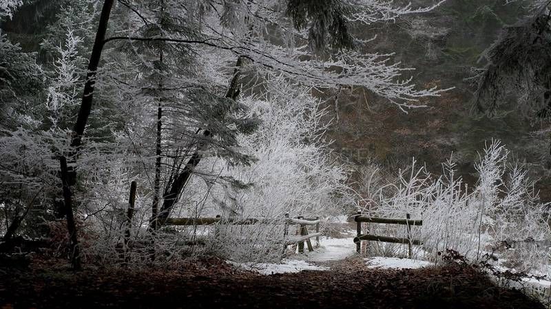 冰雪,栅栏,钢笔画,建筑,雪树银花