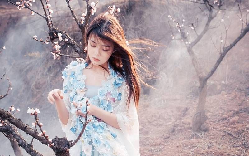美女,婚纱写真,樱花盛开,绘画,工笔画