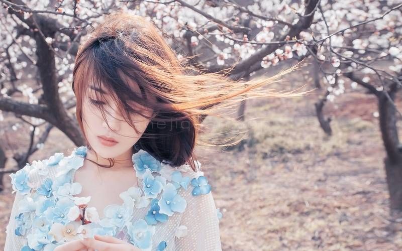 樱花盛开,美女,婚纱写真,工笔画,婚礼