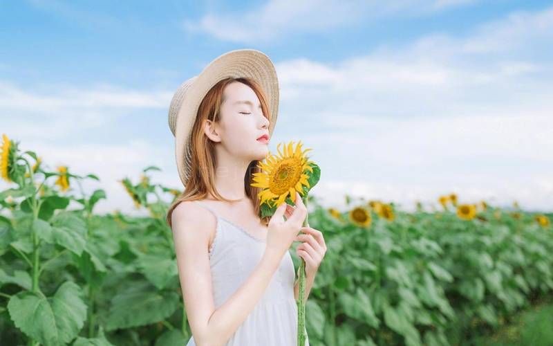 花海,美女,向日葵,婚纱写真,卡通动漫人物